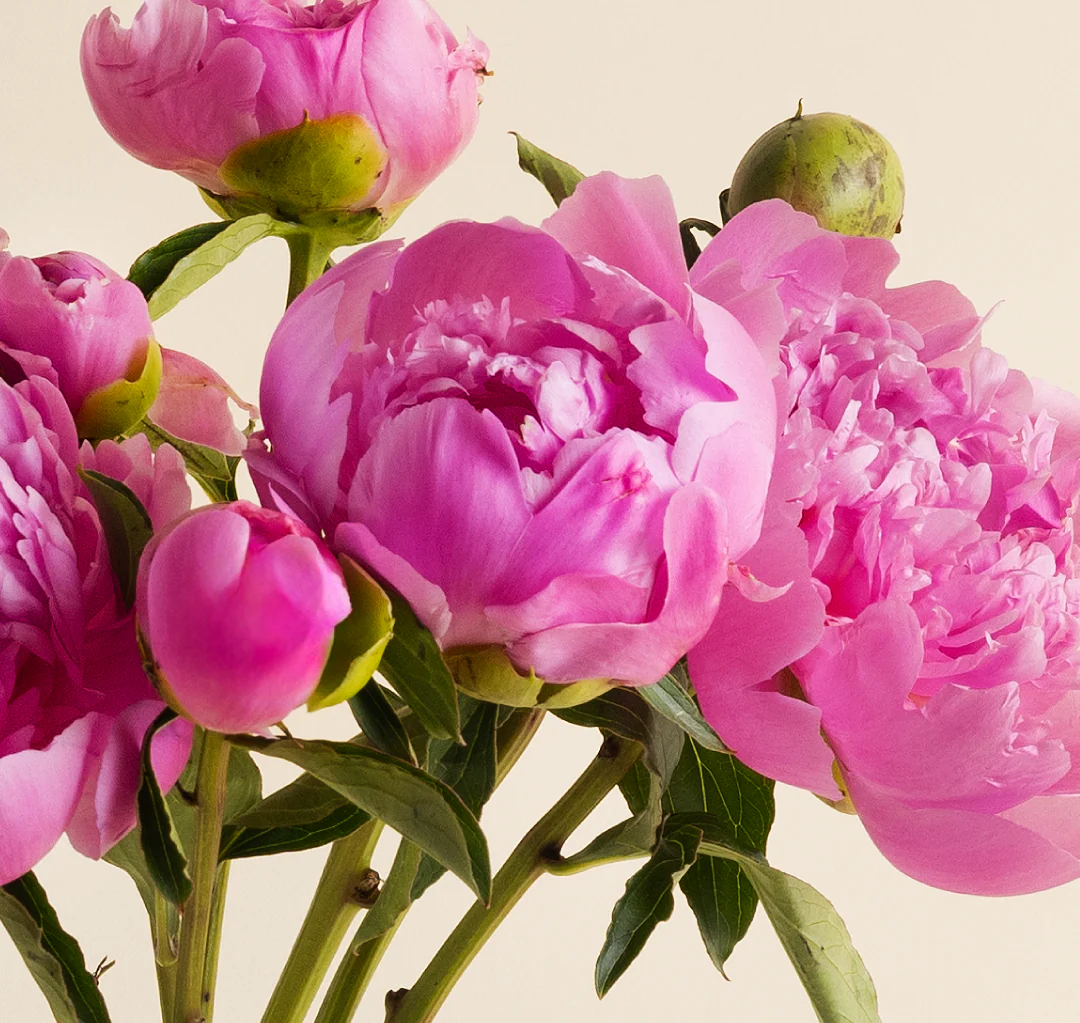 Modern Flowers, Signature Style
